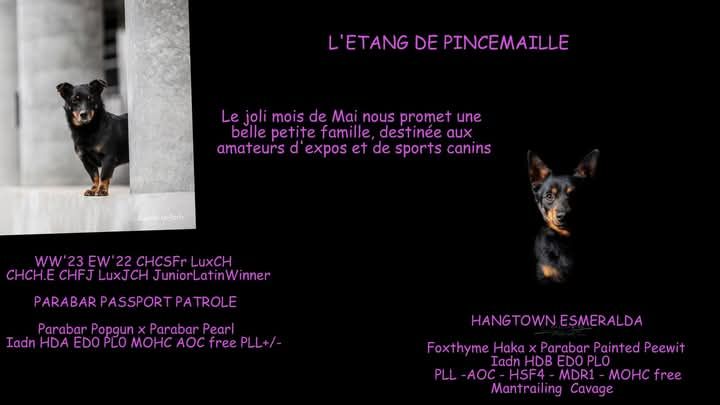 Les petits Porter(s) sont nés !